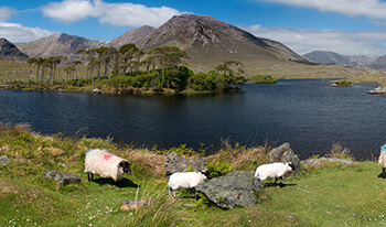 northern ireland driving tour